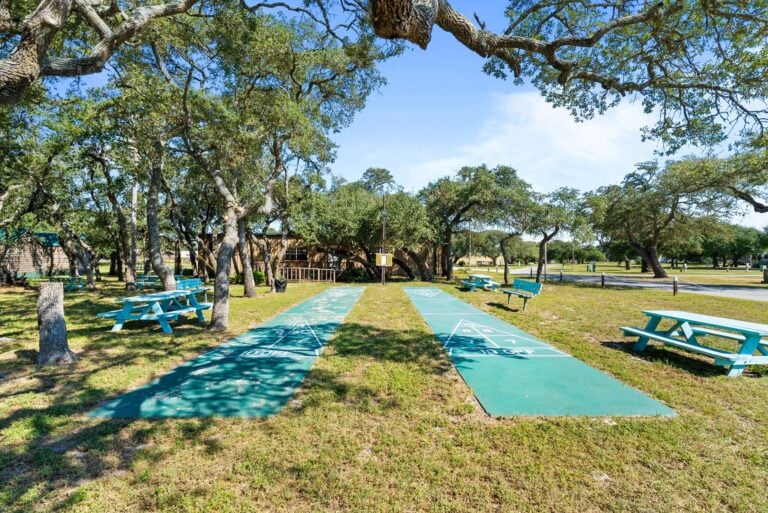 Shuffleboard