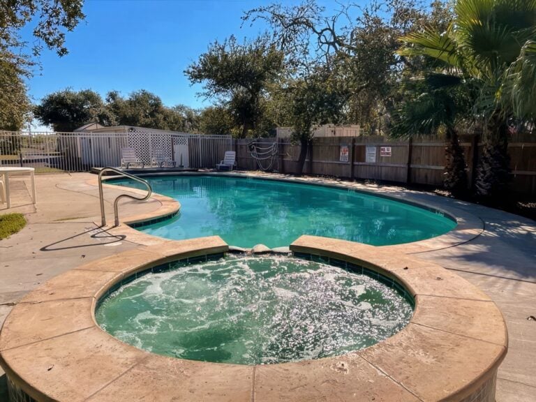 Pool Transfer Chair